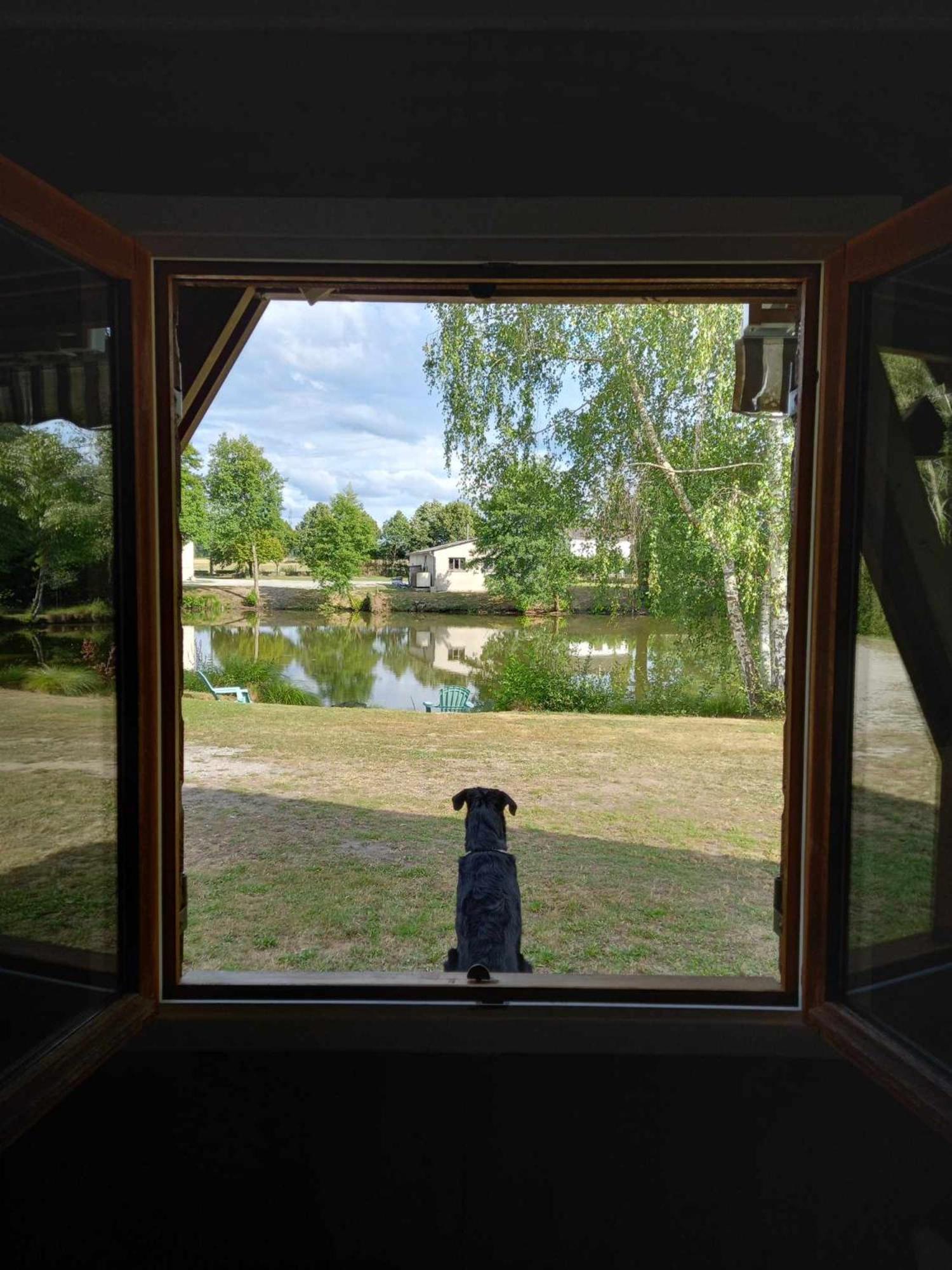 Le Chalet Limousin Folles Dış mekan fotoğraf