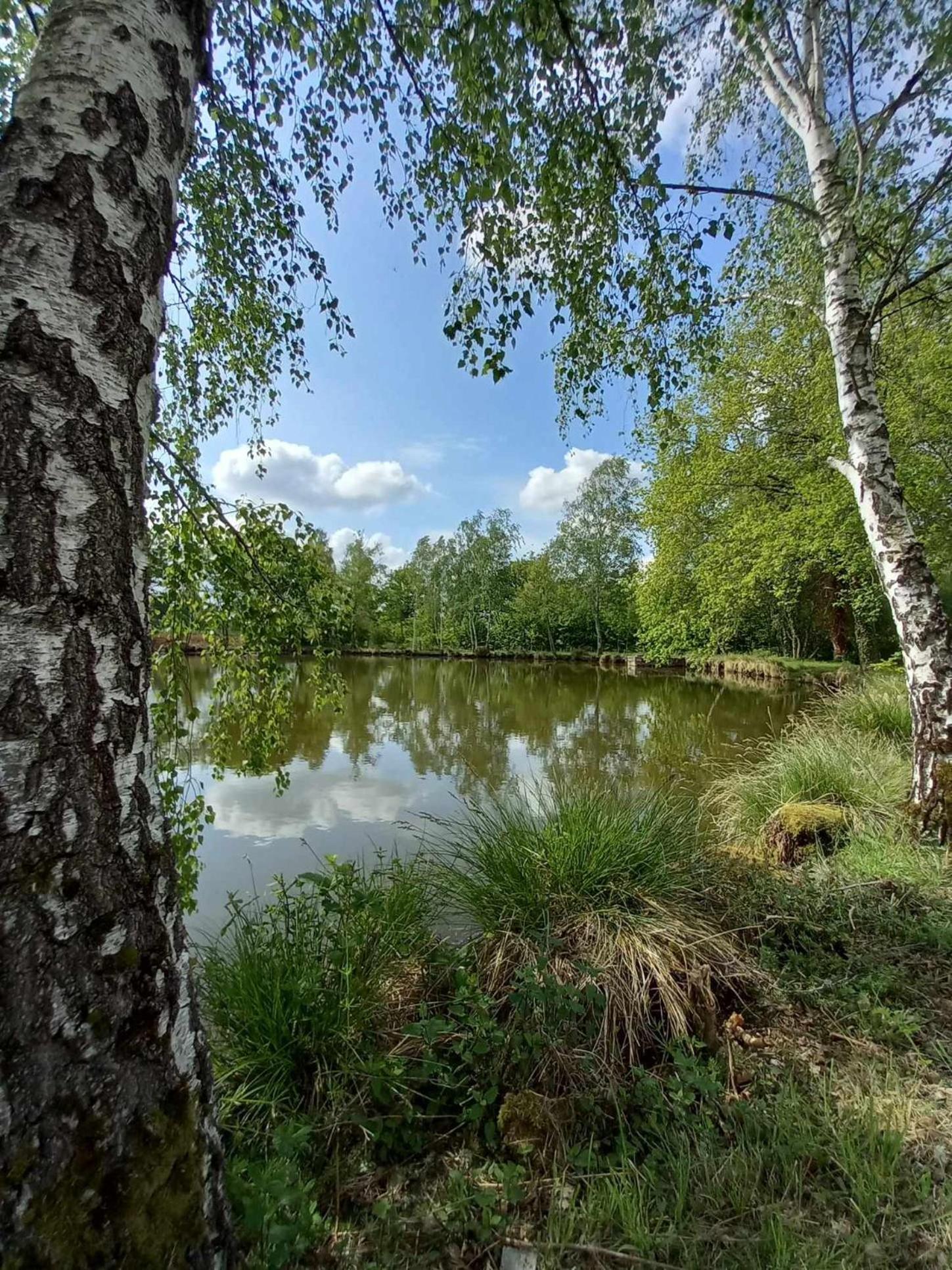 Le Chalet Limousin Folles Dış mekan fotoğraf
