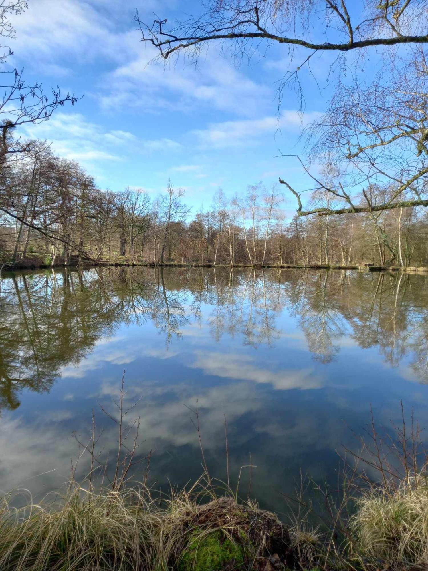 Le Chalet Limousin Folles Dış mekan fotoğraf