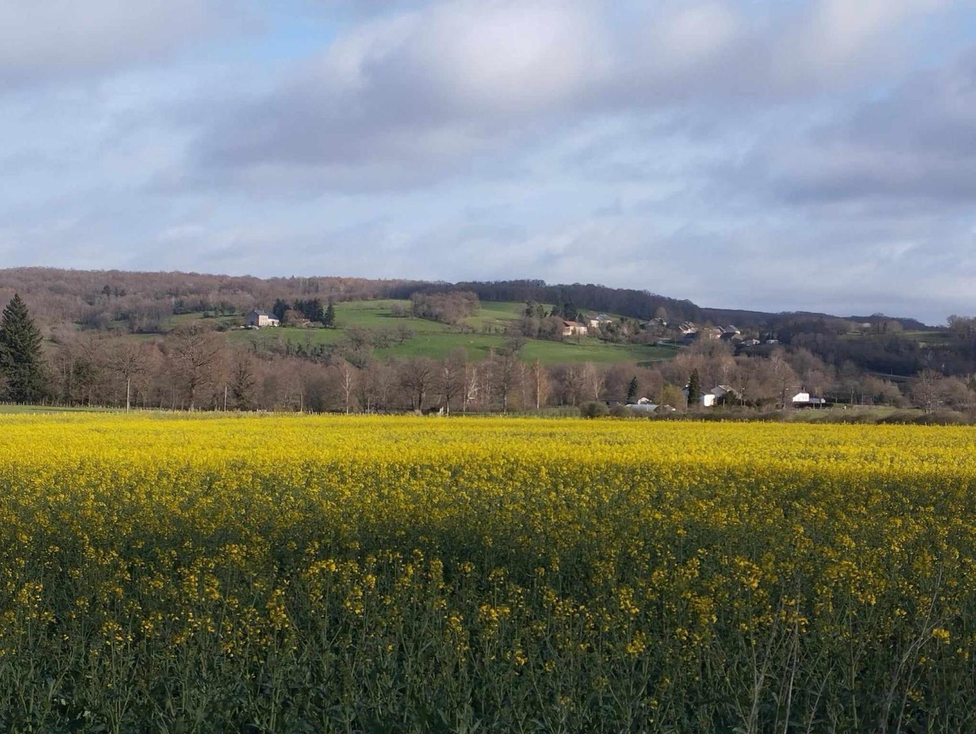 Le Chalet Limousin Folles Dış mekan fotoğraf